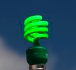 Little Green Lightbulb